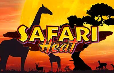 Safari Heat